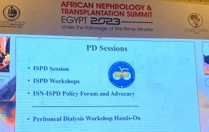 ISPD presence in the AFRAN’23 meeting in Egypt